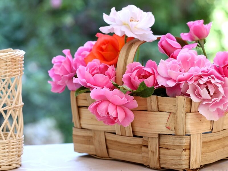 Basket of Roses — Pink, Serene, Spring