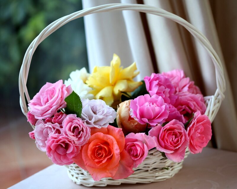 Basket of Roses — Pink