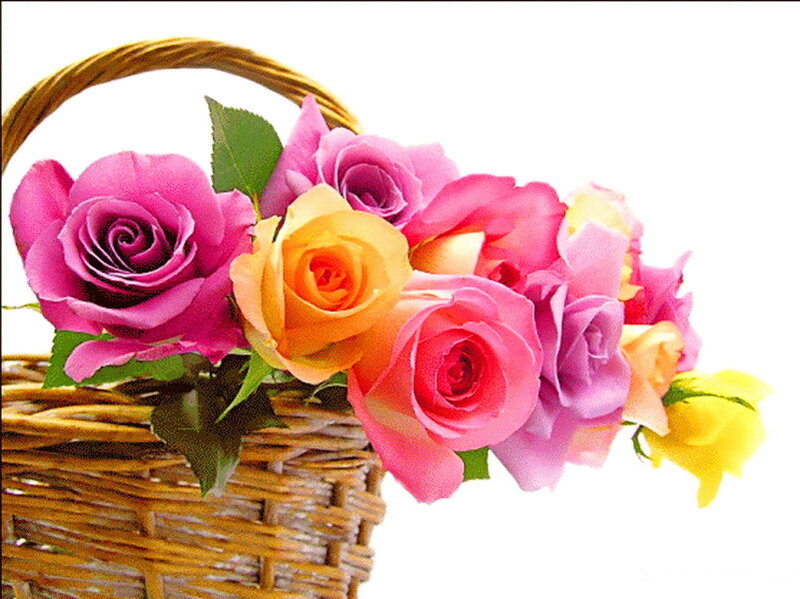 Basket of Roses