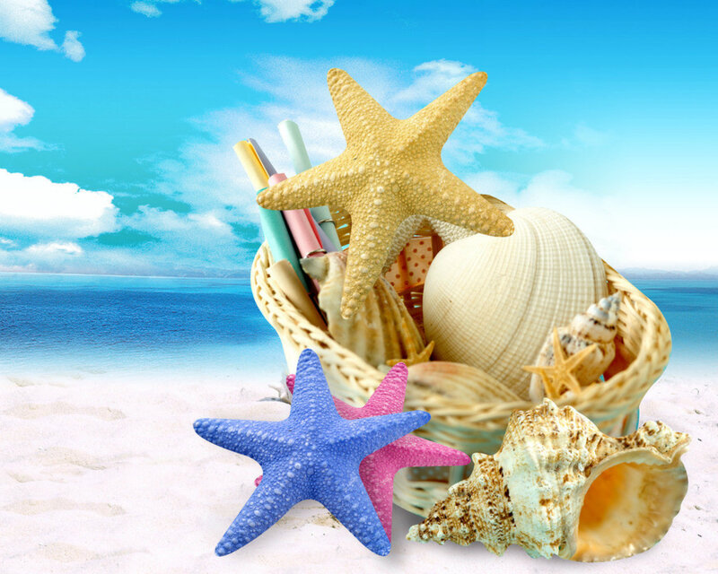 Basket of Seashells and Starfish