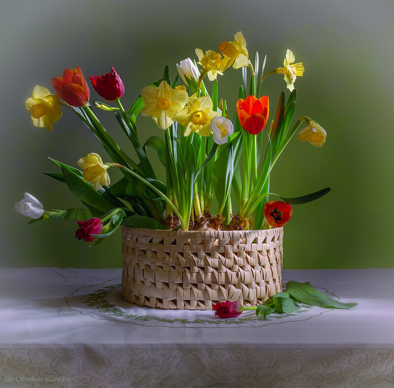 Basket of Spring Flowers — Green, Serene