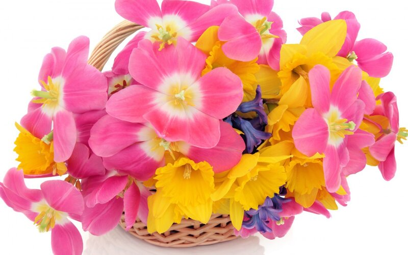 Basket of Spring Flowers — Pink, Bright, Photograph, Wicker Basket