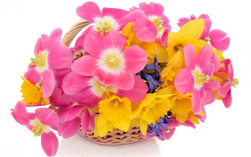 Basket of Spring Flowers — Pink, Bright