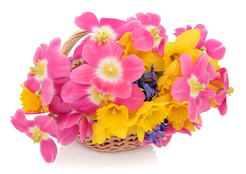 Basket of Spring Flowers — Pink