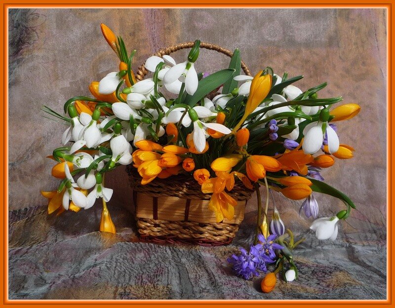 Basket of Spring Flowers — White