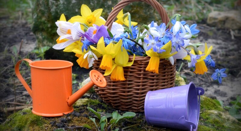 Basket of Spring Flowers — Yellow, Serene, Photograph