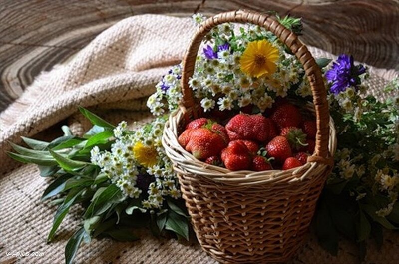 Basket of Strawberries — Brown