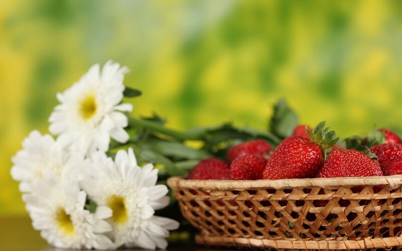Basket of Strawberries — Red, Calm