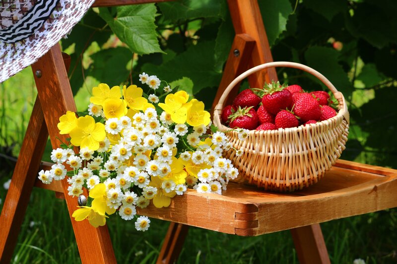 Basket of Strawberries — Yellow