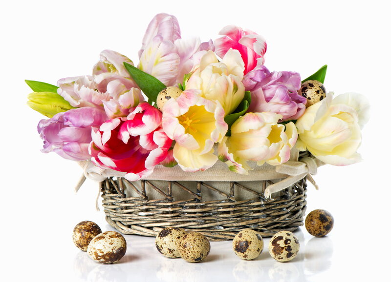 Basket of Tulips and Eggs