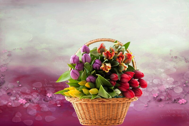 Basket of Tulips — Purple