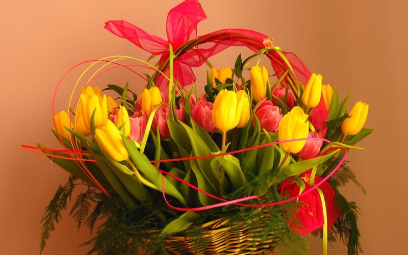 Basket of Tulips