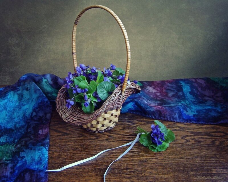 Basket of Violets
