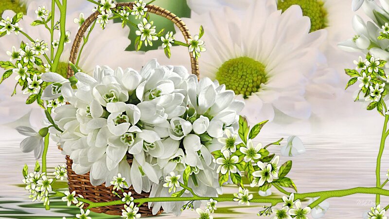 Basket of White Flowers