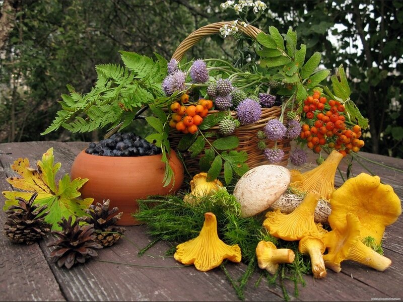 Basket of Wild Foraged Items