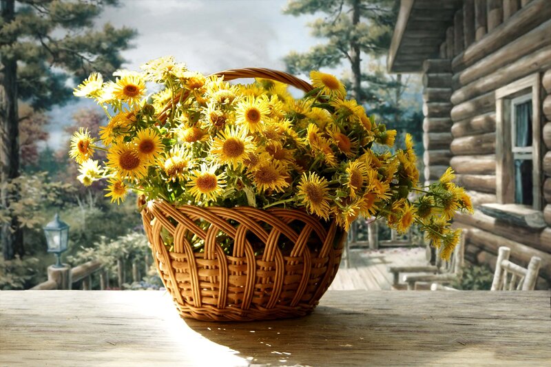 Basket of Yellow Flowers — Serene