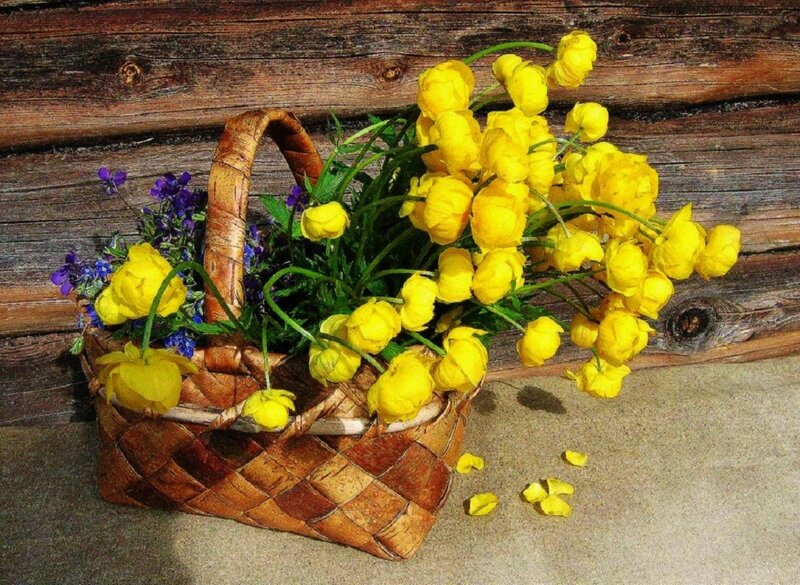 Basket of Yellow Flowers