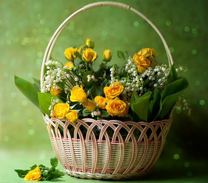 Basket of Yellow Roses — Serene