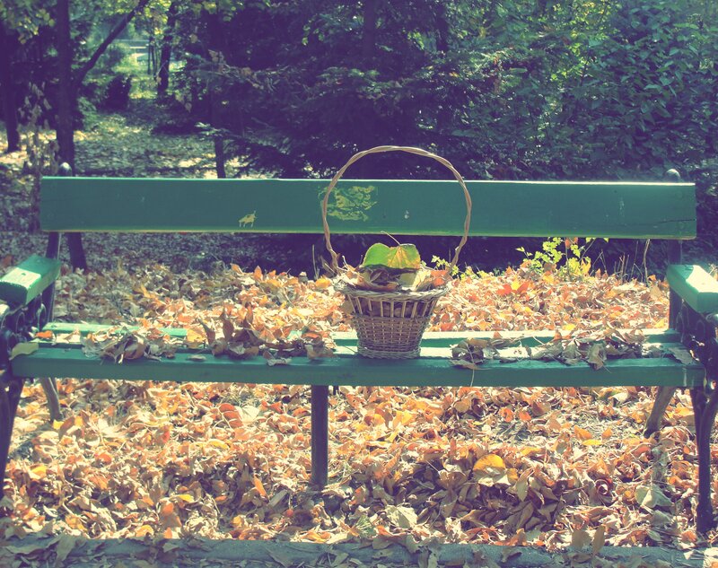 Basket on Park Bench