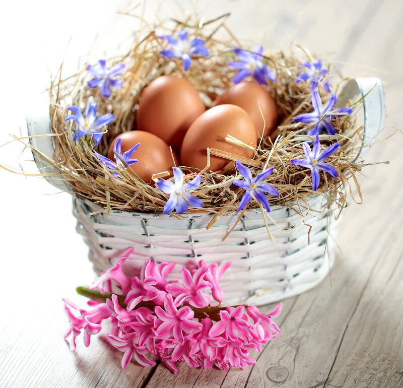 Basket with Eggs and Flowers — White, Serene
