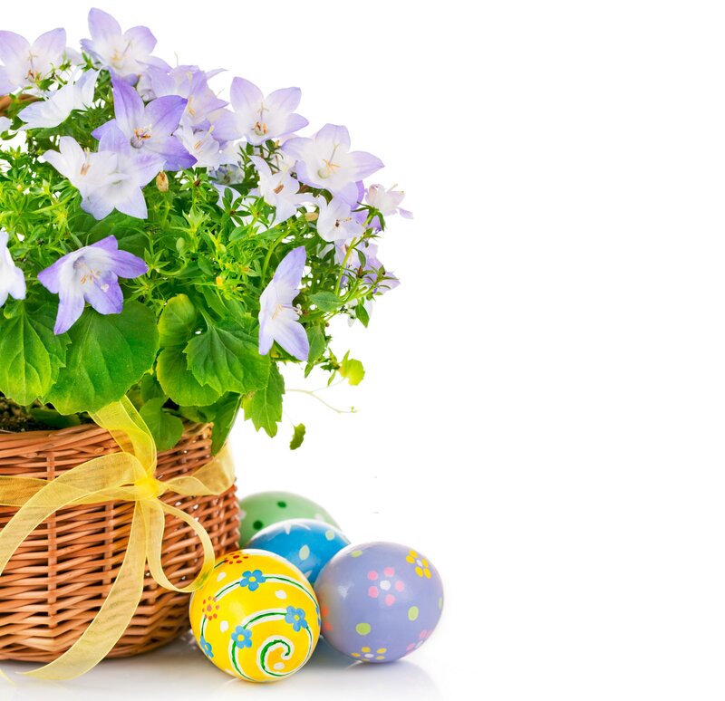Basket with Flowers and Eggs