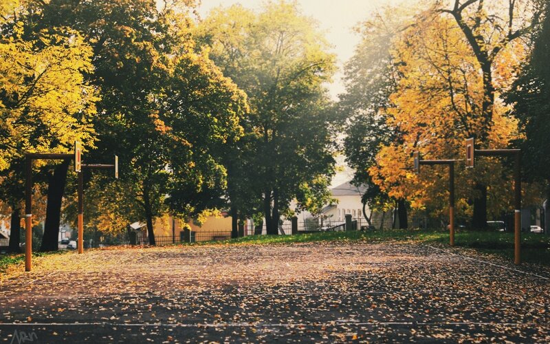 Basketball Court in Autumn