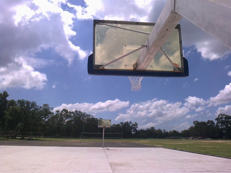 Basketball Hoop and Court