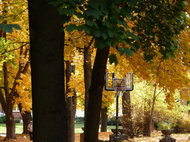 Basketball hoop in autumn park