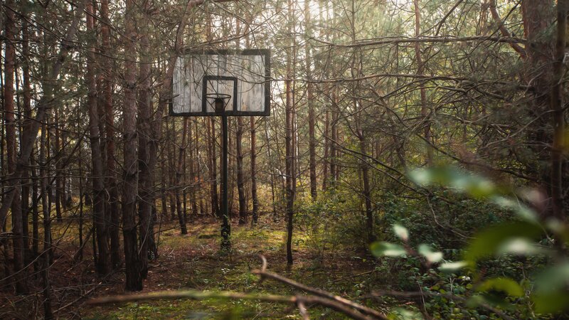 Basketball Hoop in Forest