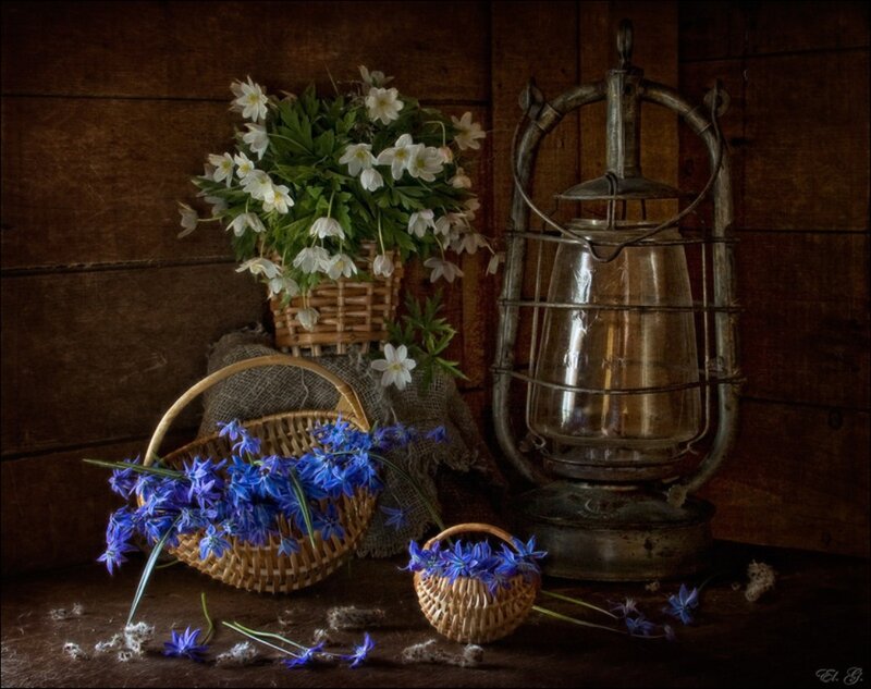 Baskets of Flowers and Lantern