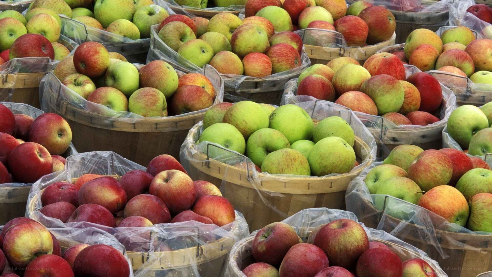 Baskets of fresh apples