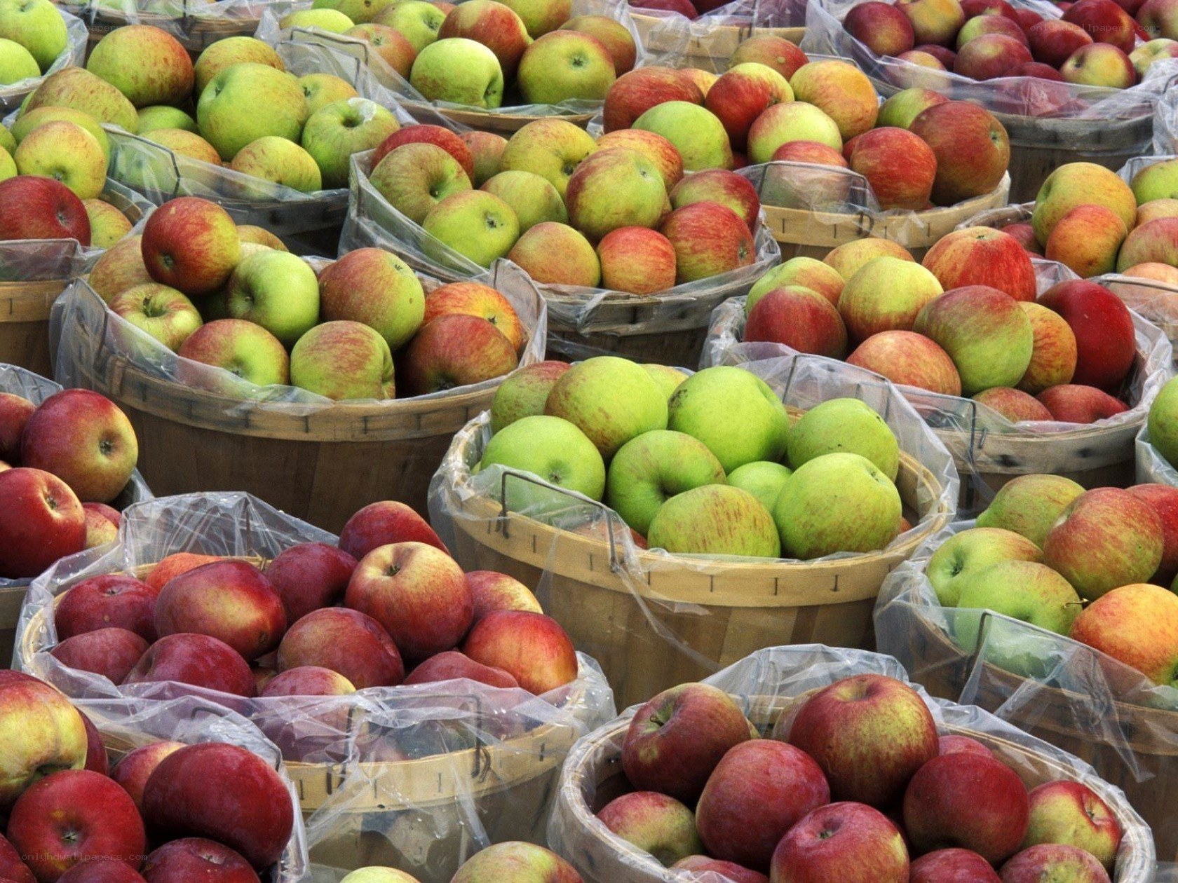 Baskets of fresh apples