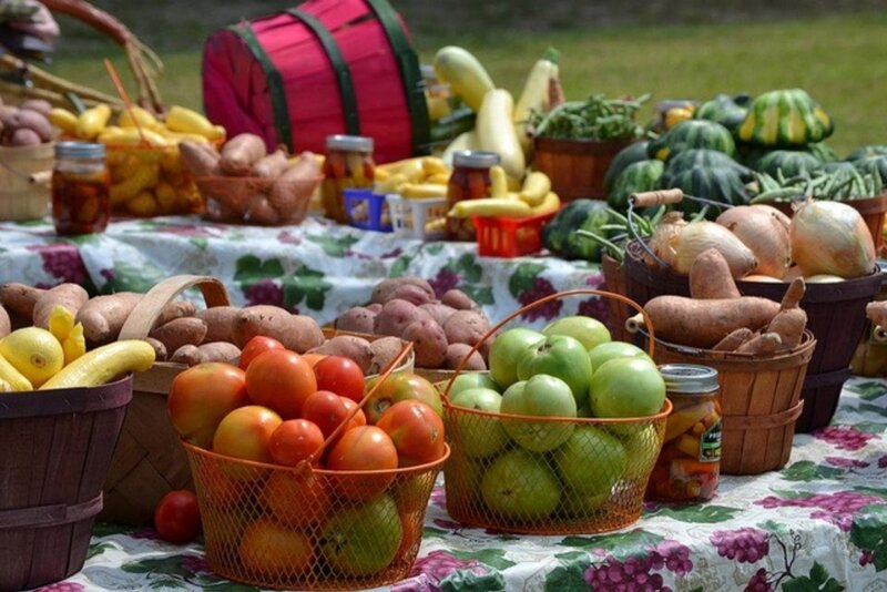 Baskets of Fresh Produce — Green