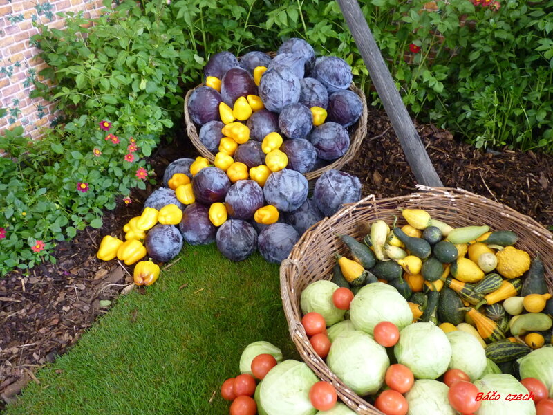 Baskets of Fresh Produce