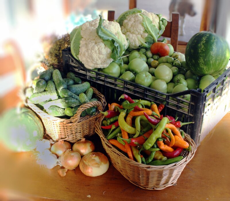 Baskets of Fresh Vegetables