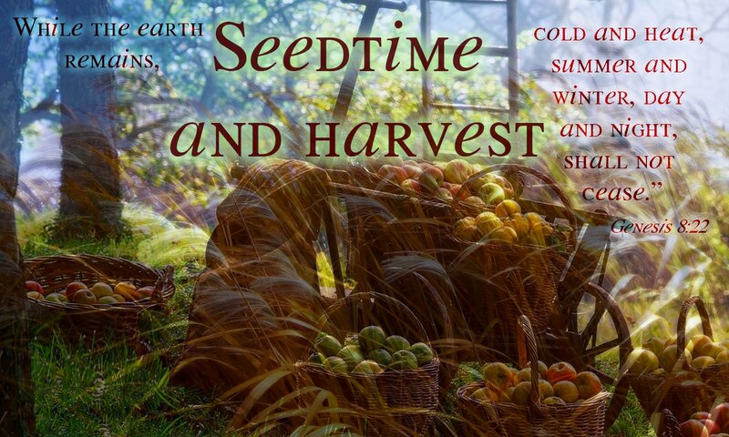 Baskets of Fruit in Field