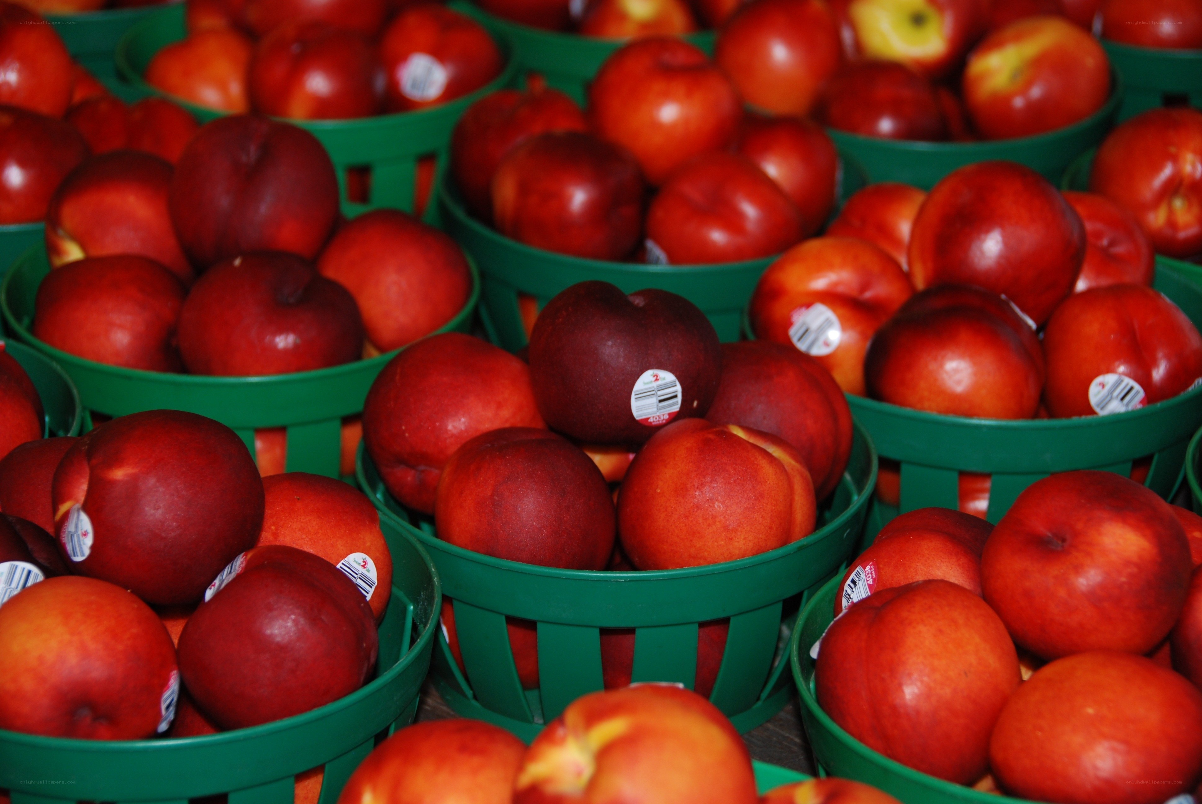 Baskets of red nectarines