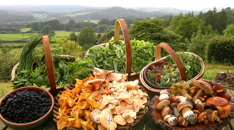 Baskets of Wild Foraged Foods