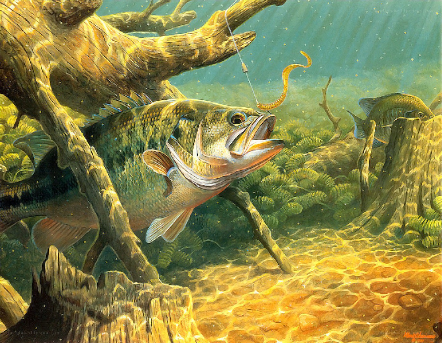 Bass biting on a worm lure