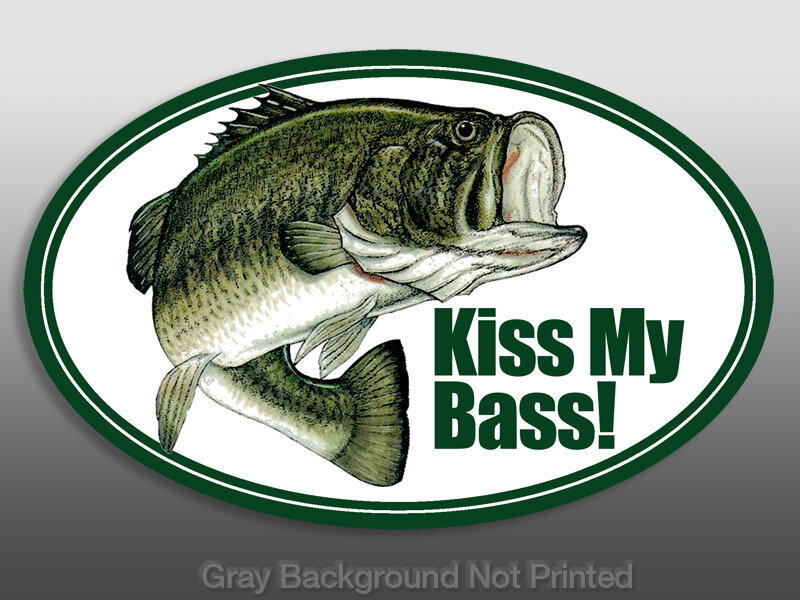 Bass Fish Illustration