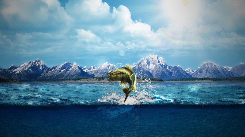 Bass Fish Jumping — Blue, Dramatic, Afternoon