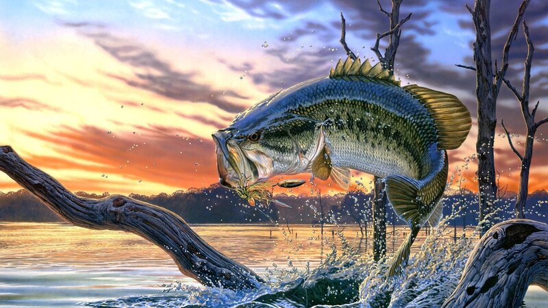 Bass Fish Jumping — Orange, Dramatic