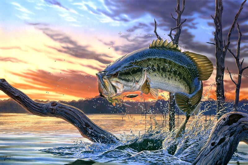Bass Fish Jumping