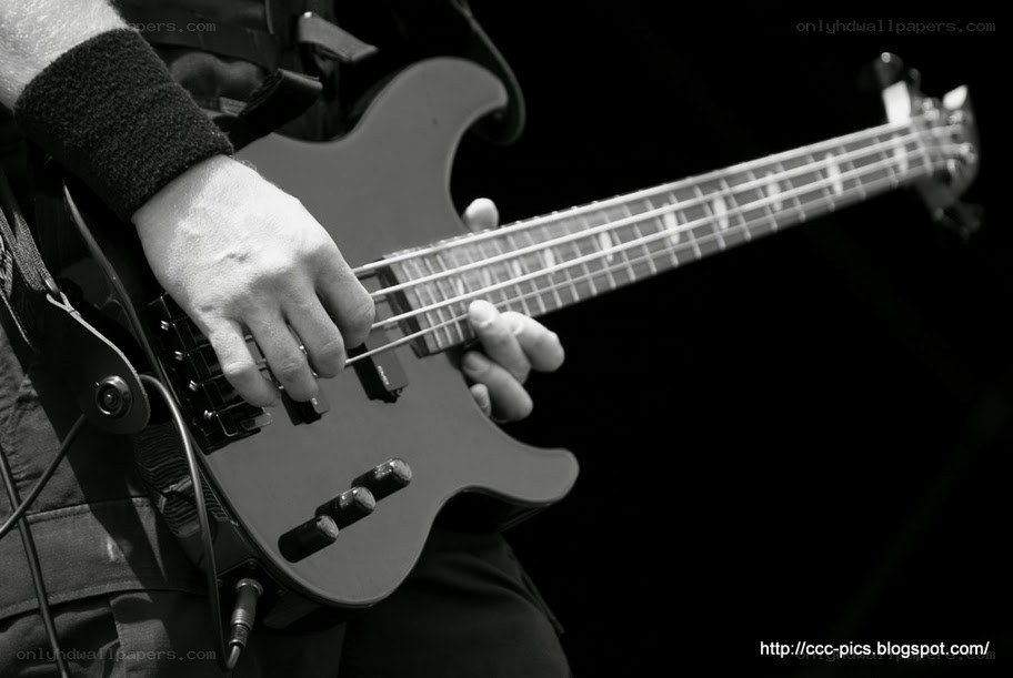 bass guitarist performing live
