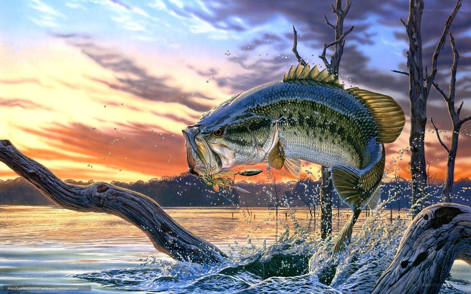 Bass leaping at sunset