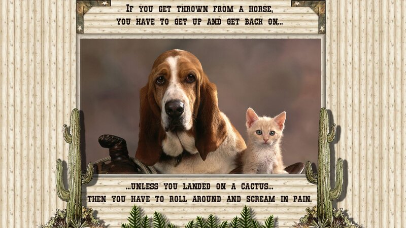 Basset Hound and Kitten — Brown, Humorous