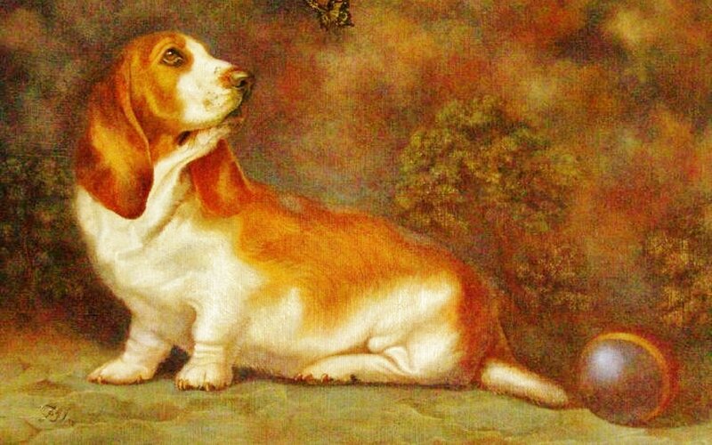 Basset Hound Dog — Brown, Calm, Painting, Ball