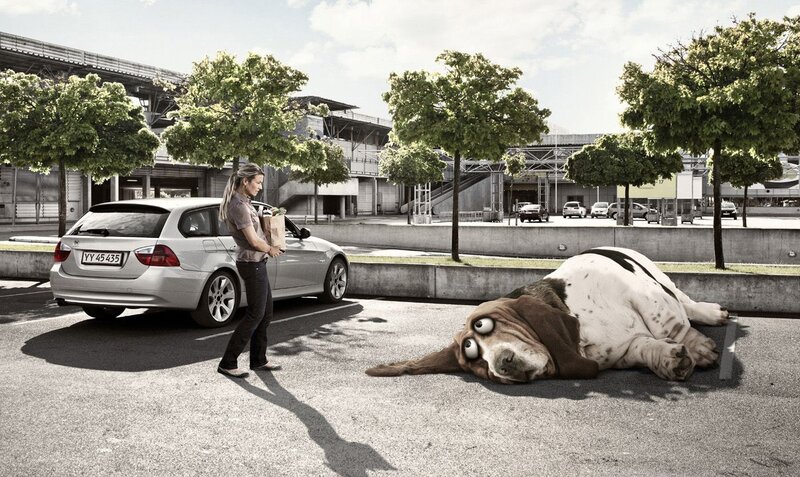 Basset Hound Lying Down — Gray