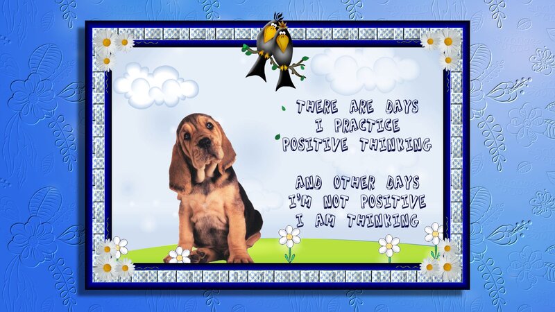Basset Hound Puppy — Blue