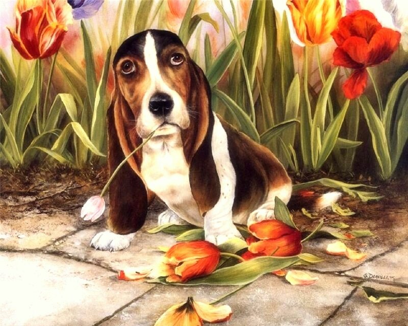 Basset Hound Puppy — Brown, Calm, Spring